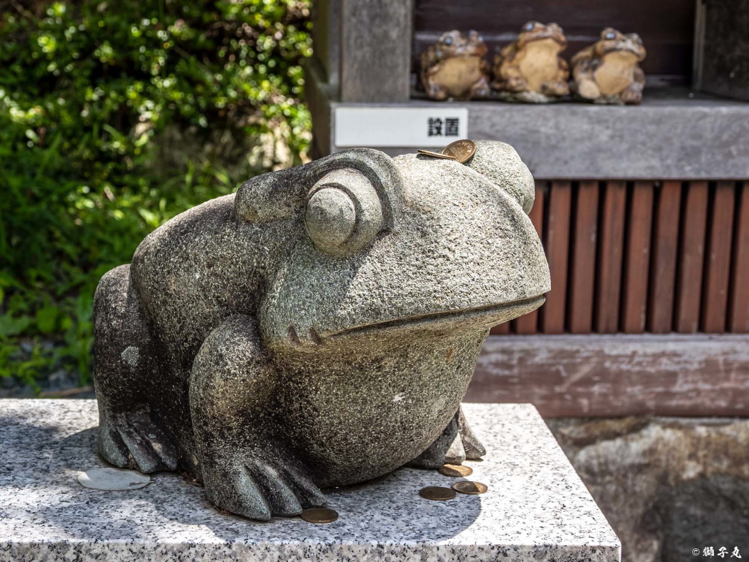Trang trí tượng ếch trong sân vườn Nhật